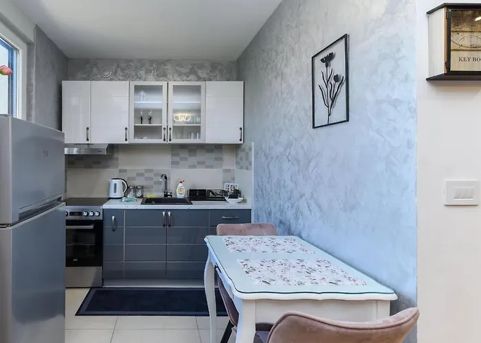 Relax Novi Sad, Telep