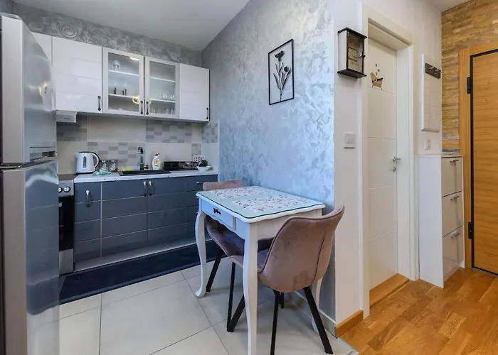 Relax Novi Sad, Telep * Újvidék