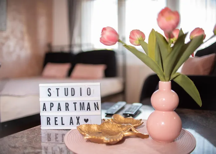 Relax Novi Sad, Telep